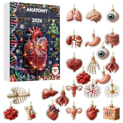 Christmas Anatomy Advent Calendar 2026 24 Days Christmas Tree Decoration Xmas Box Christmas Party Home Decor Gift Supplies