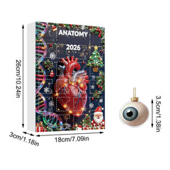 Christmas Anatomy Advent Calendar 2026 24 Days Christmas Tree Decoration Xmas Box Christmas Party Home Decor Gift Supplies